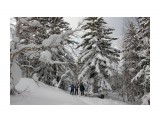 В зимнем лесу

Просмотров: 1378
Комментариев: 