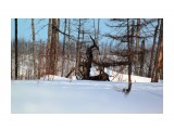 В горельнике свои скульптуры.. 
Фотограф: vikirin

Просмотров: 2782
Комментариев: 0