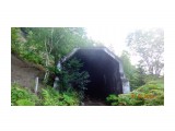 DSC05643
тоннель по дороге к вулкану.

Просмотров: 632
Комментариев: 0