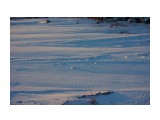 28
Фотограф: vikirin

Просмотров: 1151
Комментариев: 0