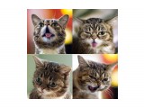 Котя :)

Просмотров: 730
Комментариев: 0