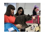 выставка11

Просмотров: 633
Комментариев: 0