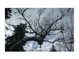 Название: IMGP8873
Фотоальбом: г.Луга 20-21.10.2012
Категория: Туризм, путешествия

Время съемки/редактирования: 2012:10:21 13:19:41
Фотокамера: PENTAX Corporation  - PENTAX K200D       
Диафрагма: f/5.6
Выдержка: 1/4000
Фокусное расстояние: 2800/100



Просмотров: 545
Комментариев: 0