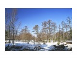 Название: опушка леса
Фотоальбом: лебяжье 25-26 апр.
Категория: Пейзаж

Время съемки/редактирования: 2015:04:26 12:22:22
Фотокамера: Canon - Canon EOS 6D
Диафрагма: f/8.0
Выдержка: 1/500
Фокусное расстояние: 24/1



Просмотров: 2117
Комментариев: 0