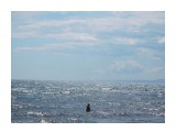 DSCN1524

Просмотров: 960
Комментариев: 0