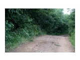 Лесные дорожки
Фотограф: vikirin

Просмотров: 1280
Комментариев: 0