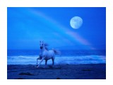 555
иии

Просмотров: 1308
Комментариев: 