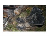 мои ботинки
Фотограф: фотохроник

Просмотров: 305
Комментариев: 0