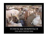 Название: 1322476674_1303185467_010
Фотоальбом: Разное
Категория: Демотиваторы

Просмотров: 1200
Комментариев: 0