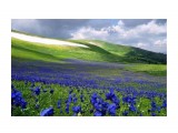 Алтай :)

Просмотров: 325
Комментариев: 0