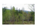 002-13

Просмотров: 685
Комментариев: 0