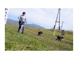 Название: Дог-скутеринг
Фотоальбом: ШУСТРЫЕ ЛАПЫ 2014
Категория: Животные

Просмотров: 648
Комментариев: 0
