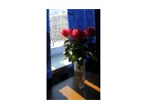 044-к

Просмотров: 575
Комментариев: 0