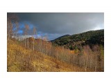 131-к

Просмотров: 564
Комментариев: 0