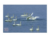 ***
Фотограф: Сергей Буркацкий

Просмотров: 1520
Комментариев: 0