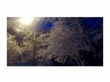 Однажды весной в 6 утра.. пошел снег..
Фотограф: vikirin

Просмотров: 2131
Комментариев: 0