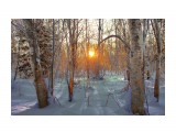 вечер в лесу

Просмотров: 3719
Комментариев: 3