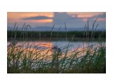 Устье Сусуи

Просмотров: 1195
Комментариев: 0