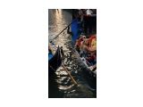 Фото 92

Просмотров: 730
Комментариев: 0