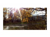 Осень.. начало октября
Фотограф: vikirin

Просмотров: 1804
Комментариев: 0