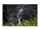 Водопад....
Фотограф: vikirin

Просмотров: 2014
Комментариев: 0