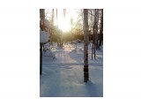 Закат.. Морозец.. березовый лесок..дышится легко..
Фотограф: vikirin

Просмотров: 4230
Комментариев: 0