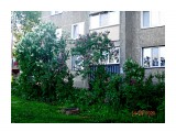 А у нас во дворе...

Просмотров: 840
Комментариев: 0
