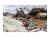 Почти спрятался )
Фотограф: VictorV
Горный дупель

Просмотров: 545
Комментариев: 3