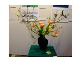 DSC00115

Просмотров: 525
Комментариев: 0