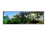 MyCollages

Просмотров: 517
Комментариев: 0