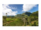 Название: Чайные плантации
Фотоальбом: Шри-Ланка
Категория: Туризм, путешествия

Просмотров: 506
Комментариев: 0