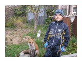96

Просмотров: 4712
Комментариев: 0