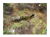 Название: DSC07306
Фотоальбом: п.Чехова 3.10.2010
Категория: Природа

Время съемки/редактирования: 2010:10:03 15:27:32
Фотокамера: SONY - DSC-T100
Диафрагма: f/4.5
Выдержка: 10/2000
Фокусное расстояние: 580/100
Светочуствительность: 100


Просмотров: 451
Комментариев: 0
