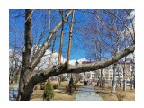 Название: IMG_20200424_142112
Фотоальбом: Сквер им. А. П. Чехова
Категория: Пейзаж
Фотограф: jocus

Время съемки/редактирования: 2020:04:24 14:21:14
Фотокамера: HUAWEI - YAL-L41
Диафрагма: f/1.4
Выдержка: 366000/1000000000
Фокусное расстояние: 4660/1000



Просмотров: 560
Комментариев: 0