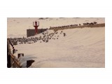 DSCN1913

Просмотров: 9555
Комментариев: 0
