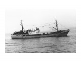 ЧУЛЫМ.  
Фотограф: 7388PetVladVik
(1983 год, промысел иваси)

Просмотров: 5236
Комментариев: 0