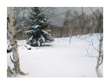 Хребтик: ещё не катаный :)

Просмотров: 514
Комментариев: 0