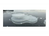 20201219_141511

Просмотров: 279
Комментариев: 0