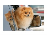 сторож

Просмотров: 2165
Комментариев: 4