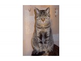 dmitriy_98

Просмотров: 553
Комментариев: 0