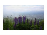 027-к

Просмотров: 496
Комментариев: 0