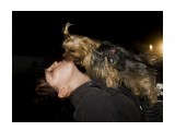 Ф,Ф,Ф.
Фотограф: фотохроник

Просмотров: 723
Комментариев: 3
