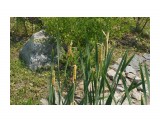 Владивосток. О.Русский
Фотограф: vikirin

Просмотров: 862
Комментариев: 0