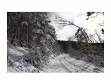 Название: зимнее
Фотоальбом: на горном воздухе
Категория: Природа

Время съемки/редактирования: 2015:10:30 16:26:31
Фотокамера: Canon - Canon EOS 6D
Диафрагма: f/11.0
Выдержка: 1/1600
Фокусное расстояние: 24/1



Просмотров: 2040
Комментариев: 0