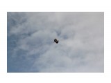Название: Кто то над нами летал всю дорогу..
Фотоальбом: 2012 Мгачи, Красная тымь, зима в елках...
Категория: Рыбалка, охота
Фотограф: vikirin

Время съемки/редактирования: 2013:05:01 16:09:18
Фотокамера: Canon - Canon EOS Kiss X3
Диафрагма: f/16.0
Выдержка: 1/2500
Фокусное расстояние: 250/1



Просмотров: 2296
Комментариев: 0