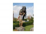 nong nooch 14
парк юрского...2

Просмотров: 49
Комментариев: 