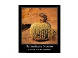 Название: 179539_pervyij-raz-bolno.thumbnail
Фотоальбом: просто приколы
Категория: Юмор

Просмотров: 652
Комментариев: 0