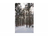 38
Фотограф: 11m

Просмотров: 499
Комментариев: 0