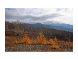 043-к

Просмотров: 662
Комментариев: 1