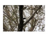 Название: Просто хвост :)
Фотоальбом: Пушистик
Категория: Природа

Время съемки/редактирования: 2017:10:20 17:11:58
Фотокамера: Canon - Canon EOS 60D
Диафрагма: f/5.6
Выдержка: 1/200
Фокусное расстояние: 135/1



Просмотров: 600
Комментариев: 0